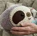 Giant Sloth Amigurumi Pattern step 3 - details and accessories