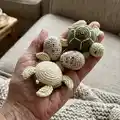 Turtles Amigurumi Pattern step 4 - final assembly and finishing
