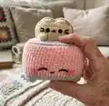 Kitty Toaster Amigurumi Pattern step 1 - construction progress