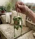 Plant Car Pattern step 3 - details and accessories