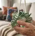 Fern Plant Car Pattern step 2 - assembly progress