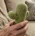 Desert Crochet Cactus Amigurumi Pattern step 3 - details and accessories