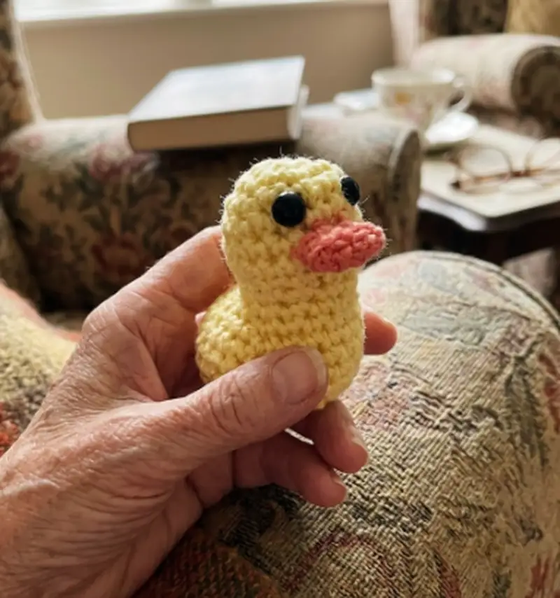 Complimentary Beginner Friendly crochet pattern: Daisy The Duck Amigurumi Pattern - Simple to follow guide