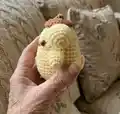 Pompompurin Amigurumi Pattern step 2 - assembly progress