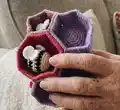 Sorting Bees Amigurumi Pattern step 2 - assembly progress