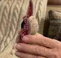 Demodog Amigurumi Pattern step 3 - details and accessories