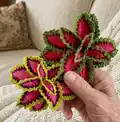 Watermelon Coleus Pattern step 4 - final assembly and finishing