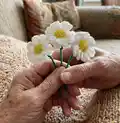 Daisy Flower Crochet Pattern step 4 - final assembly and finishing