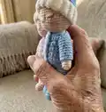 Goodnight Set Amigurumi Pattern step 2 - assembly progress