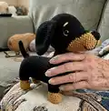 Yumi the Dachshund Bicolor Amigurumi Pattern step 1 - construction progress
