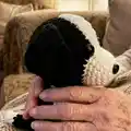 Tip The Border Collie Amigurumi Pattern step 3 - details and accessories