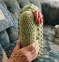 Crochet Cactus Pillow Pattern step 2 - assembly progress