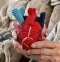 Anatomical Heart Amigurumi Pattern step 4 - final assembly and finishing