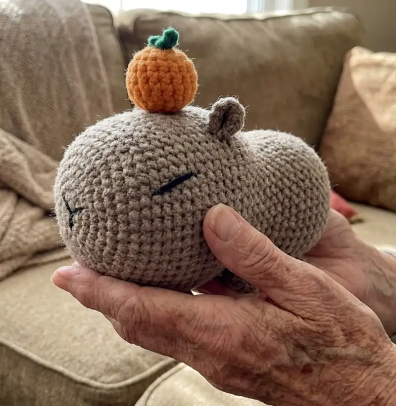 Complimentary Beginner Friendly crochet pattern: Capybara Amigurumi Pattern - Simple to follow guide