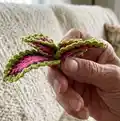 Watermelon Coleus Pattern step 2 - assembly progress