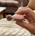 Mini Turtle Amigurumi Pattern step 3 - details and accessories