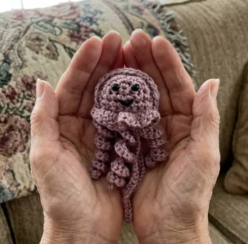 Complimentary Beginner Friendly crochet pattern: Ragdoll Pocket Jellyfish Amigurumi Pattern - Simple to follow guide