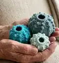 Sea Urchin Shells Crochet Pattern step 1 - construction progress