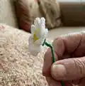 Daisy Flower Crochet Pattern step 2 - assembly progress