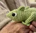 Clyde the Chameleon Amigurumi Pattern step 3 - details and accessories