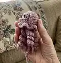 Ragdoll Pocket Jellyfish Amigurumi Pattern step 3 - details and accessories
