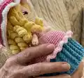 Reversible Muffin Toy Amigurumi Pattern step 2 - assembly progress