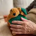 Turtle Memory Game Amigurumi Pattern step 2 - assembly progress