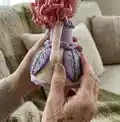 Iris Doll Amigurumi Pattern step 3 - details and accessories