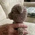 Disy the Bear Amigurumi Pattern step 3 - details and accessories