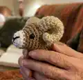 Bobby the Bighorn Sheep Amigurumi Pattern step 2 - assembly progress