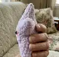 Starfish Amigurumi Pattern step 3 - details and accessories