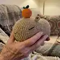 Capybara Amigurumi Pattern step 1 - construction progress