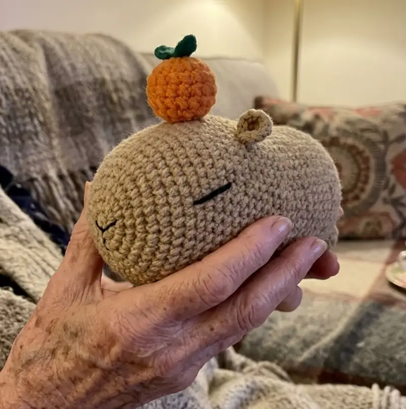 Complimentary Intermediate crochet pattern: Capybara Amigurumi Pattern - Simple to follow guide