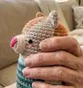 Mini Cat Amigurumi Pattern step 3 - details and accessories