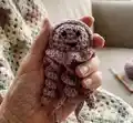 Ragdoll Pocket Jellyfish Amigurumi Pattern step 1 - construction progress