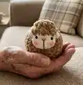 The Little Sheep Amigurumi Pattern step 1 - construction progress