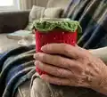 Fruit Snack Coozie Pack Pattern step 2 - assembly progress