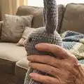 Bunny Hand Puppet Amigurumi Pattern step 2 - assembly progress