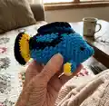 Blue Tang Fish Amigurumi Pattern step 4 - final assembly and finishing