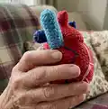 Anatomical Heart Amigurumi Pattern step 3 - details and accessories