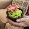 Cactus frog with removeable pot Amigurumi Pattern step 1 - construction progress