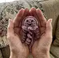 Ragdoll Pocket Jellyfish Amigurumi Pattern step 4 - final assembly and finishing