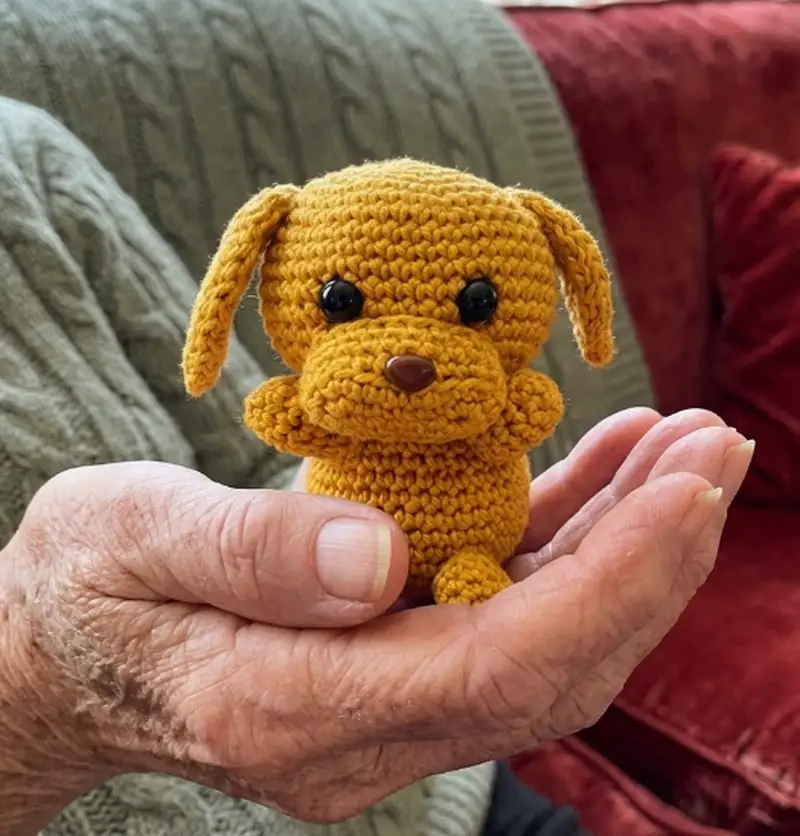 Complimentary Intermediate crochet pattern: Puppy Dog Friend Amigurumi Pattern - Simple to follow guide