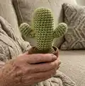 Desert Crochet Cactus Amigurumi Pattern step 4 - final assembly and finishing