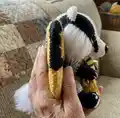 Badger Puffy Amigurumi Pattern step 2 - assembly progress