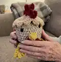HENNIFER CHICKEN CROCHET COASTER SET Pattern step 4 - final assembly and finishing