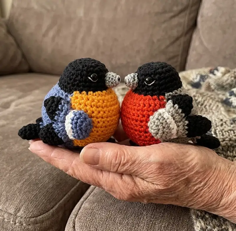 Complimentary Intermediate crochet pattern: Bullfinch Amigurumi Pattern - Simple to follow guide