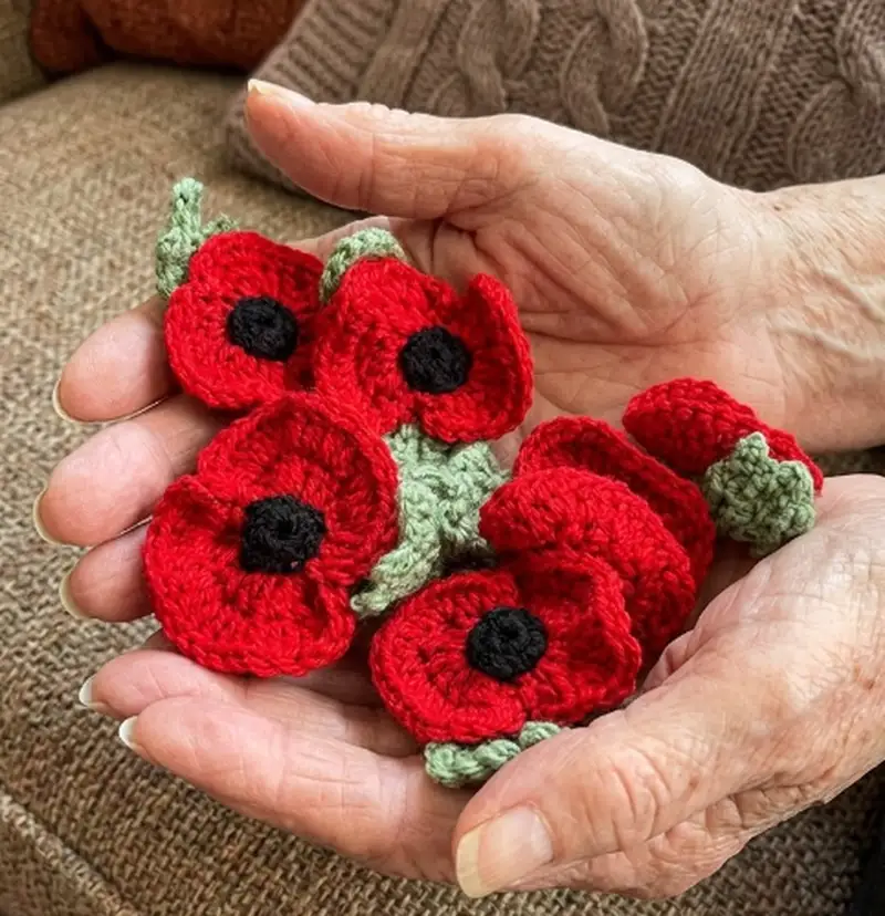 Complimentary Advanced crochet pattern: British Legion Poppy Appeal Poppies Pattern - Simple to follow guide