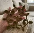 Leaf Garland Pattern step 4 - final assembly and finishing
