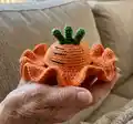 Fruits Hat Pet Crochet Pattern step 4 - final assembly and finishing
